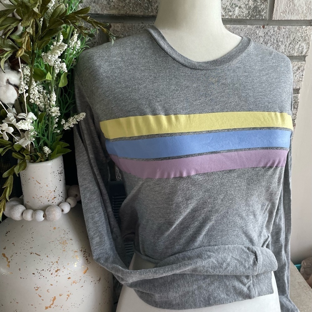 Rue21 long sleeved crop top​